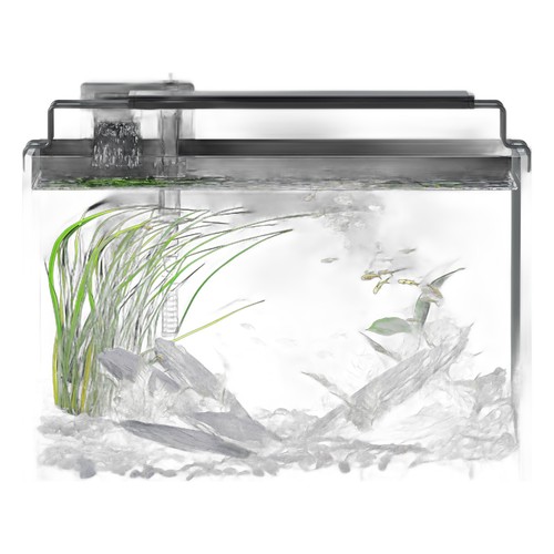 Gallon fish tank aquarium - 5,