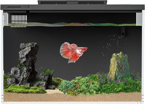 Smart gallon betta fish tank - betta,