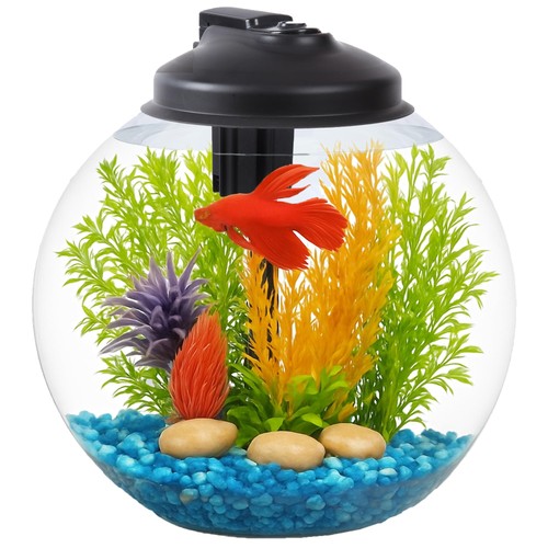 Gallon fish tank - 3-gallon,