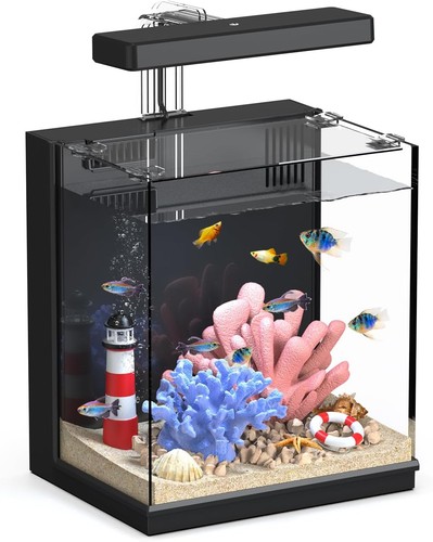 Beta fish tank gallon betta - fish,