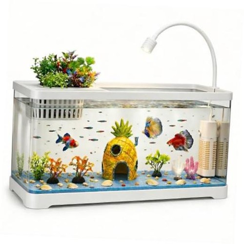 Gallon fish tank aquarium - 5,